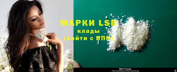 прущие грибы Братск
