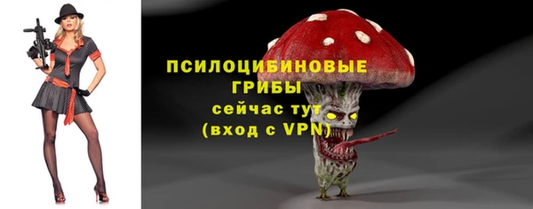 mdpv Мегион